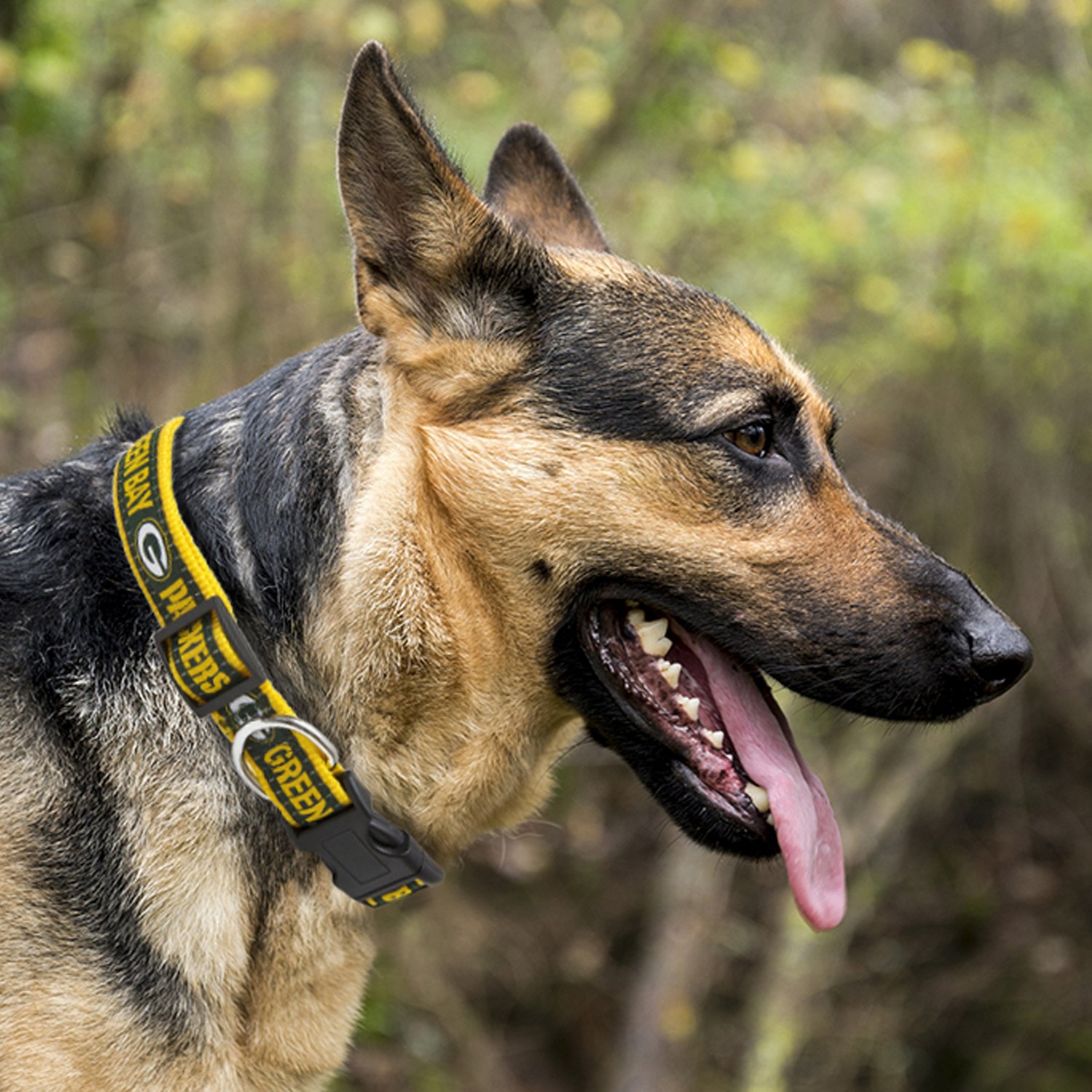 Green Bay Packers Dog Collar Green Bay Packers Martingale 