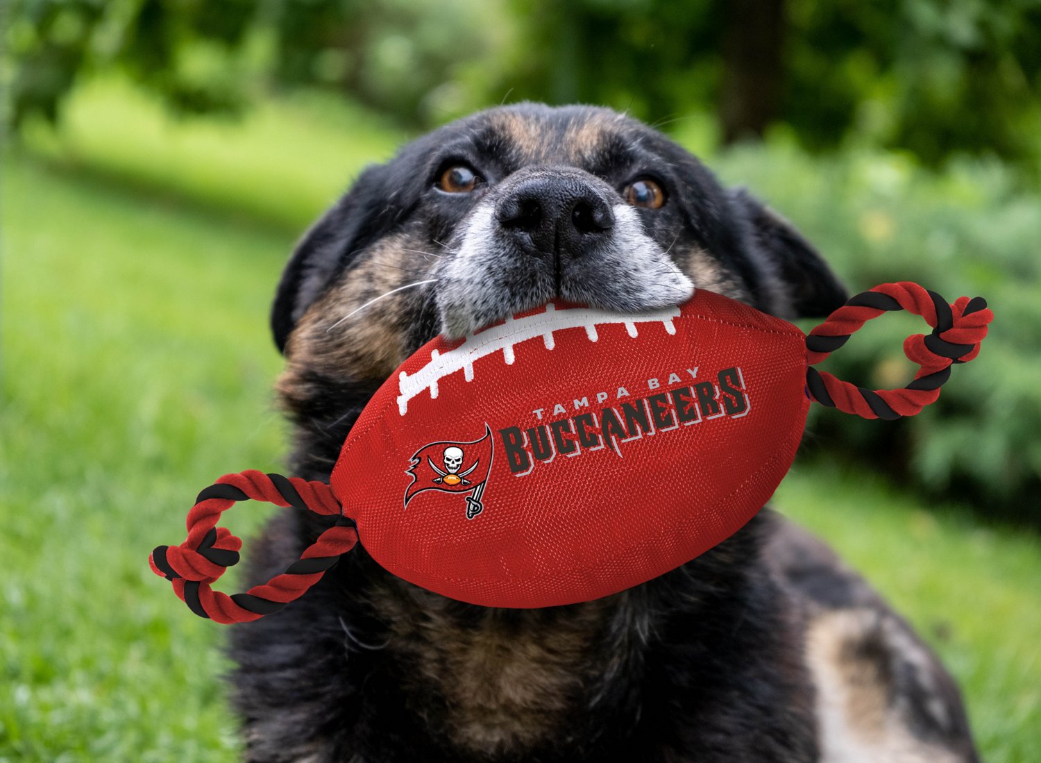 Pets First Tampa Bay Buccaneers Nylon Football Rope Dog Toy - view number 2