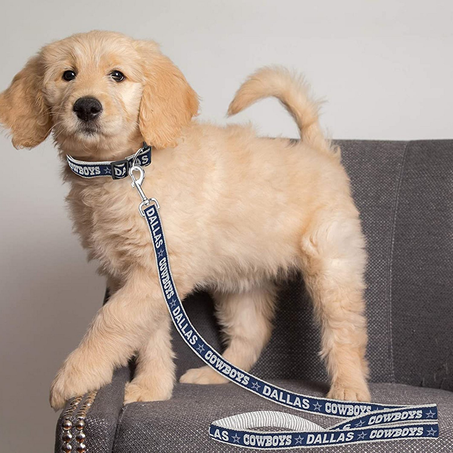 Pets First Dallas Cowboys Dog Leash - view number 2