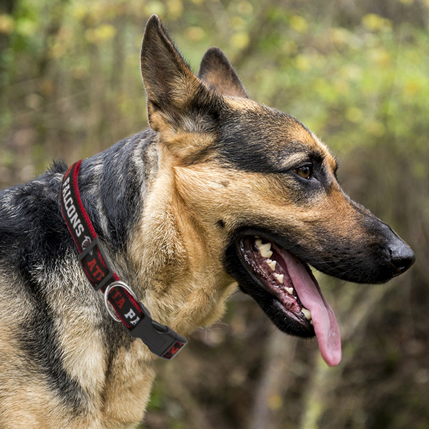 Pets First Atlanta Falcons Dog Collar