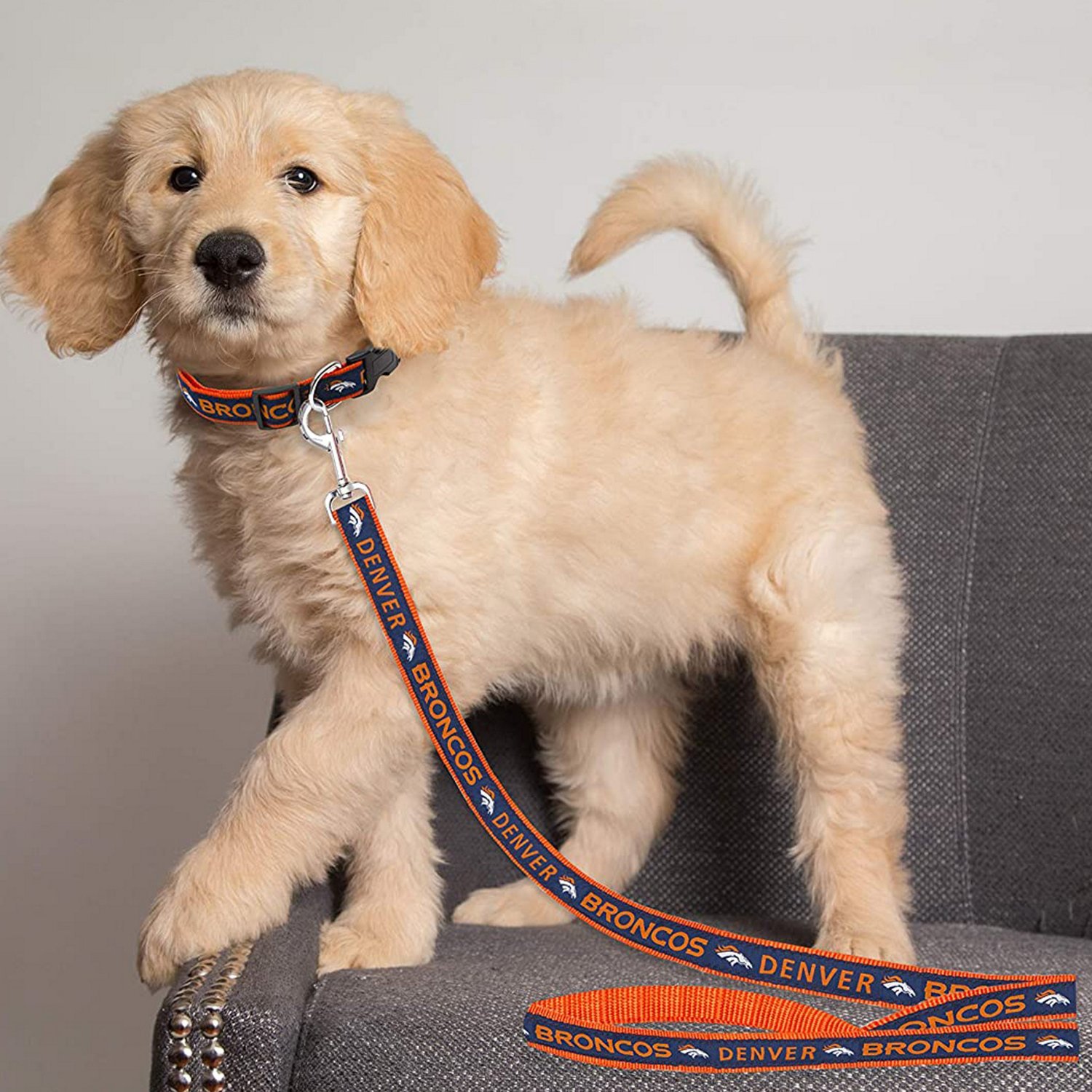 Pets First Denver Broncos Dog Leash                                                                                              - view number 2