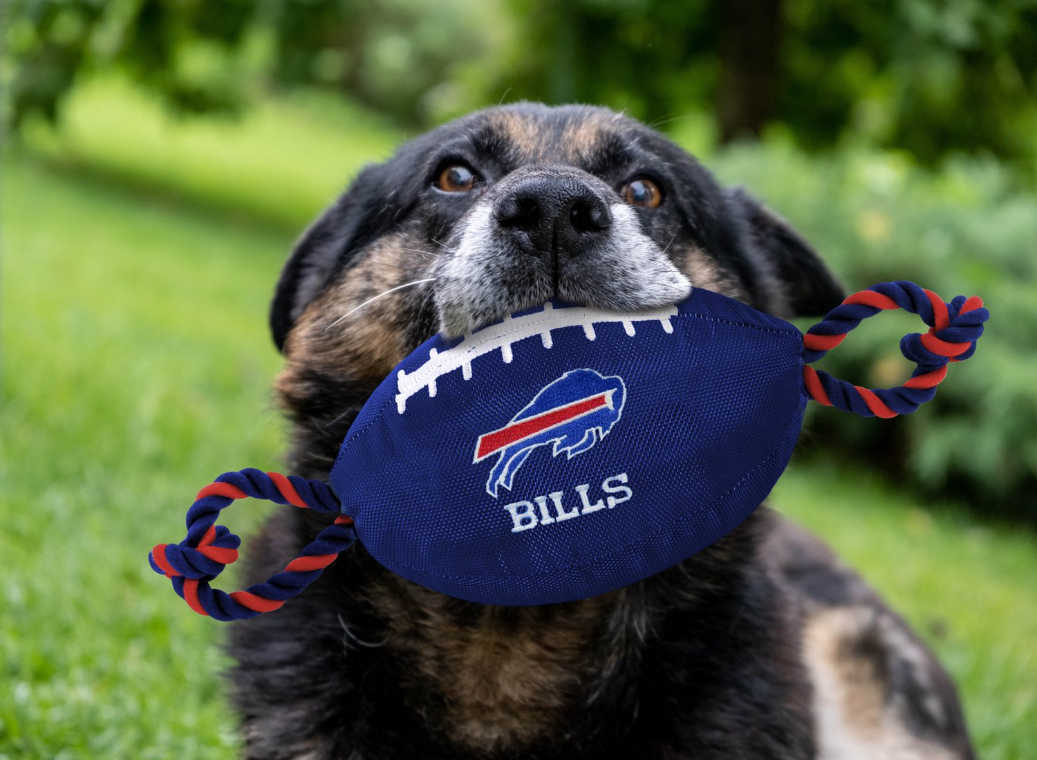 Pets First Buffalo Bills Nylon Football Rope Dog Toy - view number 2