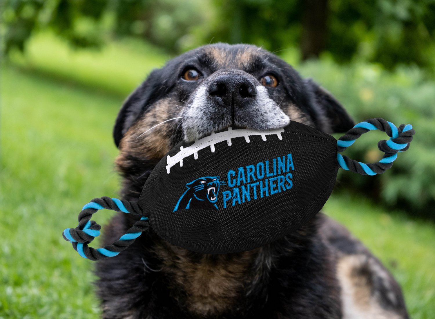 Pets First Carolina Panthers Nylon Football Rope Dog Toy - view number 2