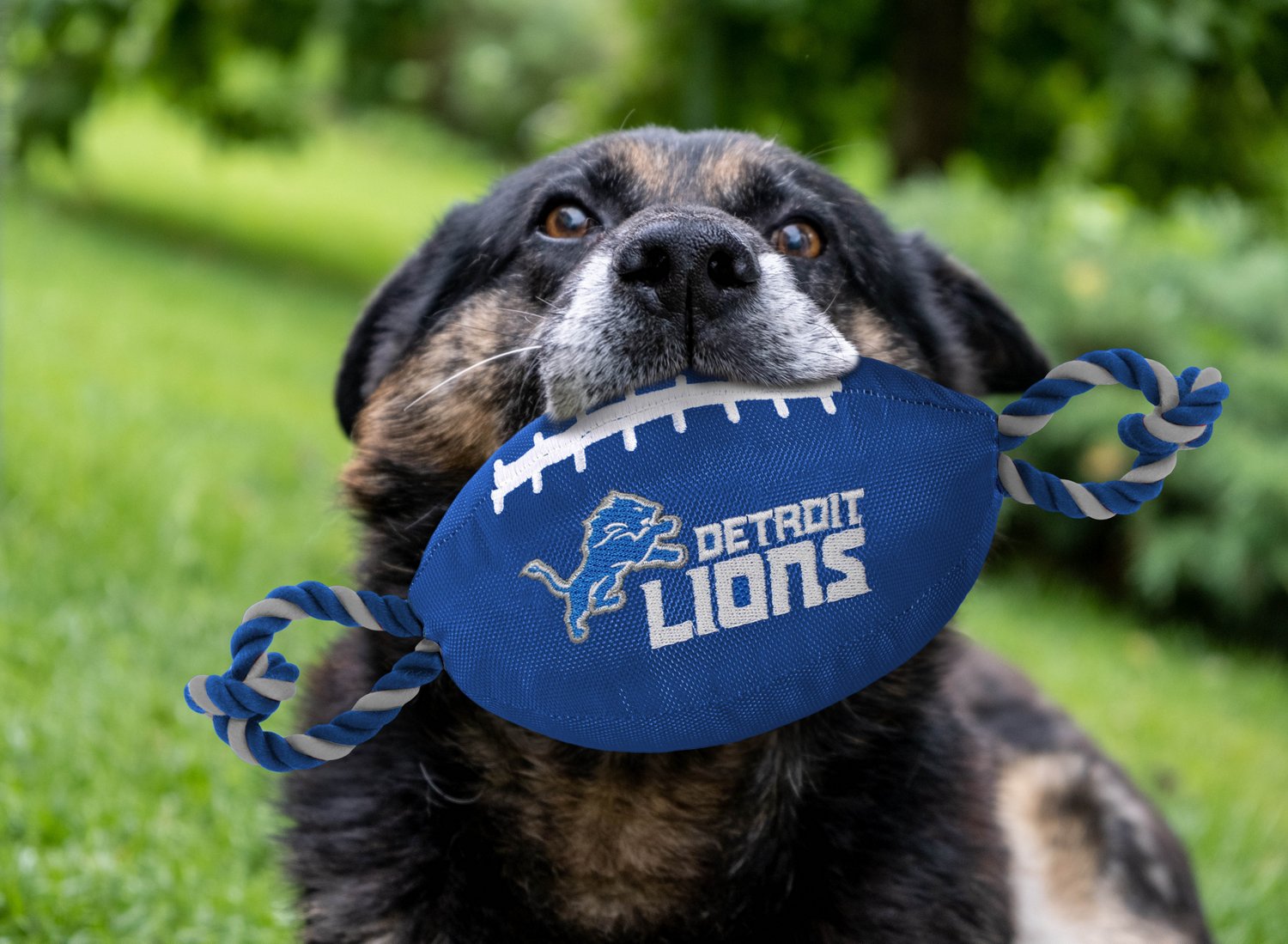Pets First Detroit Lions Nylon Football Rope Dog Toy - view number 2