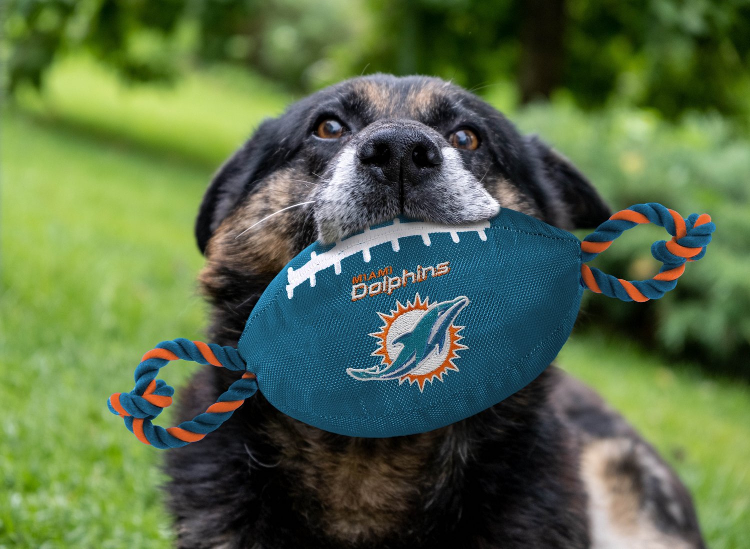 Pets First Miami Dolphins Nylon Football Rope Dog Toy - view number 2