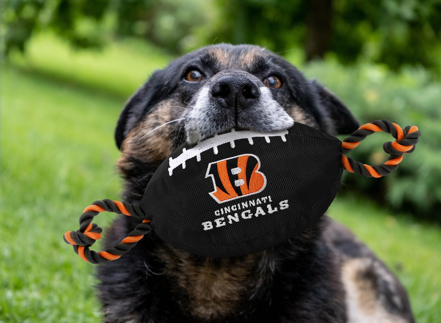 Pets First Cincinnati Bengals Nylon Football Rope Dog Toy - view number 2