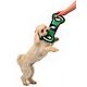 Pets First Philadelphia Eagles Field Dog Toy                                                                                     - view number 2