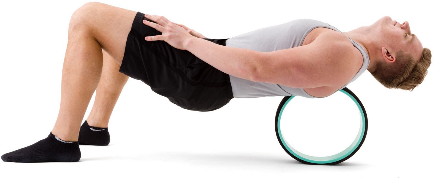 Chirp Plus 12 in Massage Wheel Academy