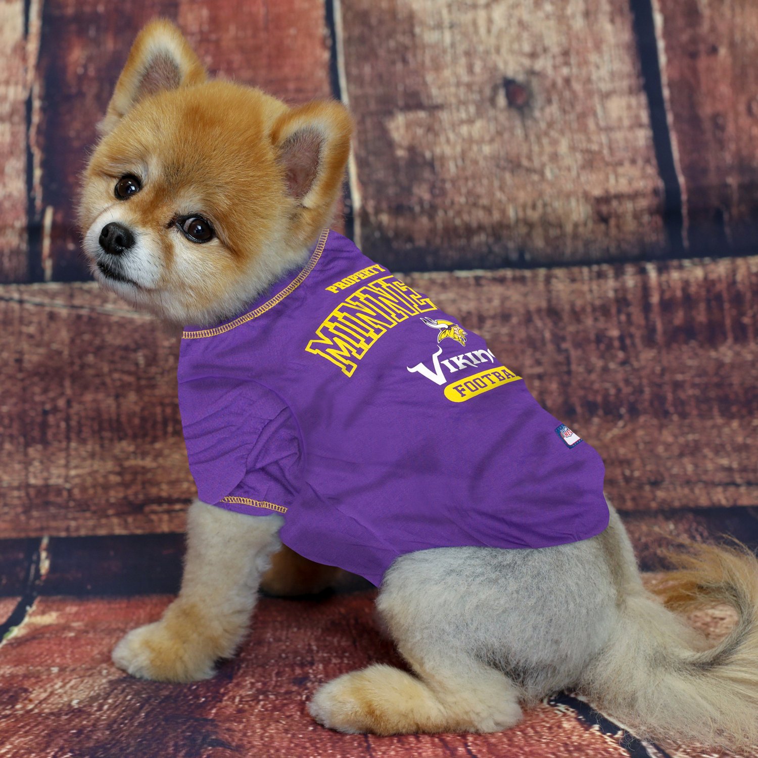 Minnesota Vikings Apparel