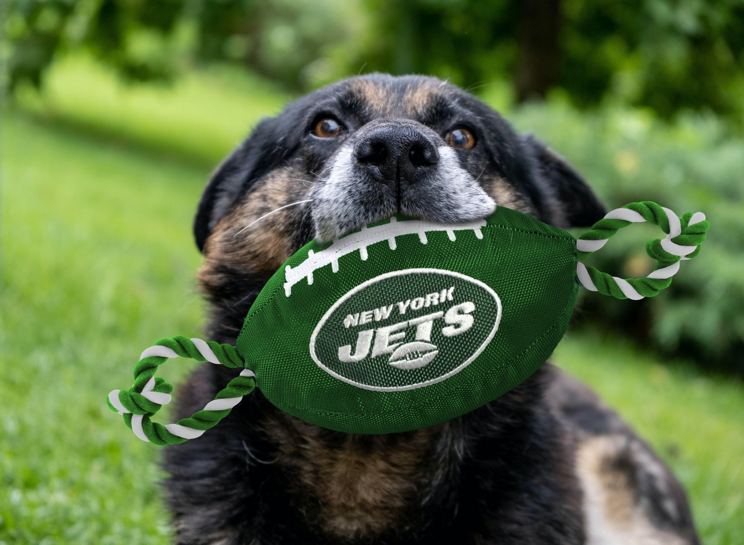 Pets First New York Jets Nylon Football Rope Dog Toy - view number 2