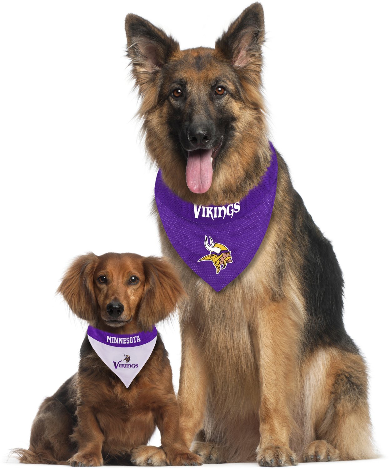 Minnesota Vikings Dog Jerseys, Vikings Pet Carriers, Harness, Bandanas,  Leashes