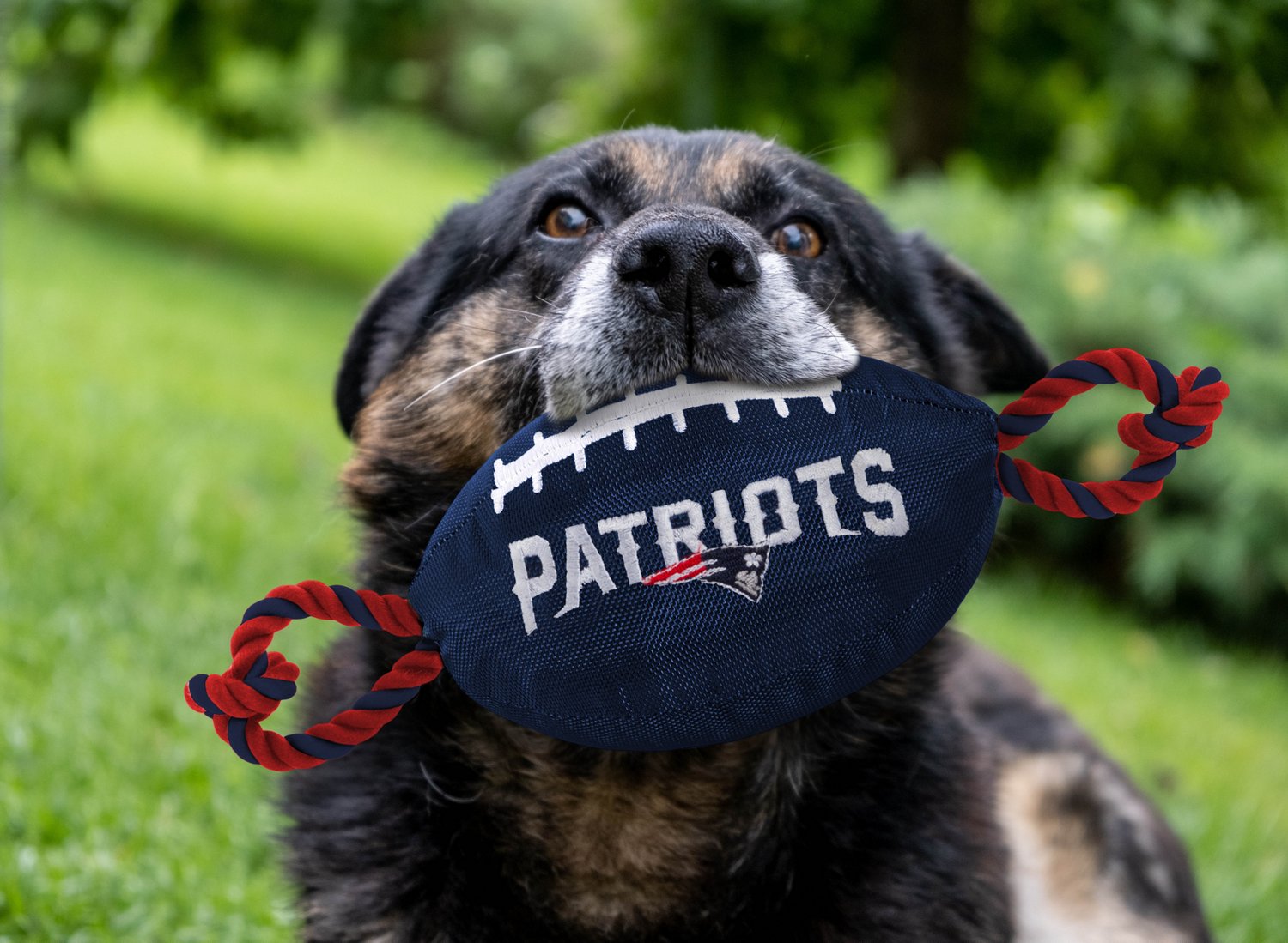 Pets First New England Patriots Nylon Football Rope Dog Toy - view number 2