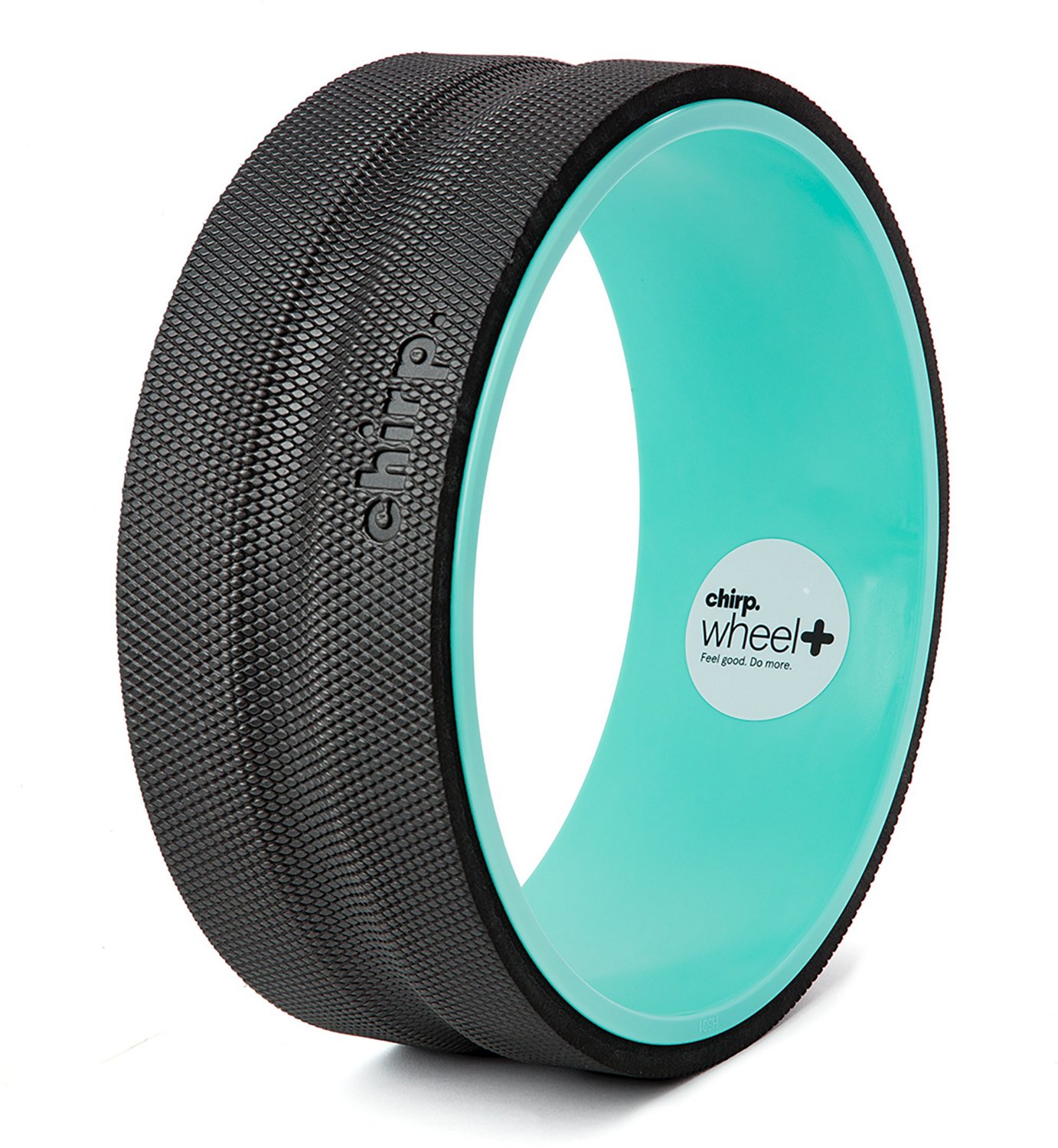 Chirp Plus 12 in Massage Wheel Academy