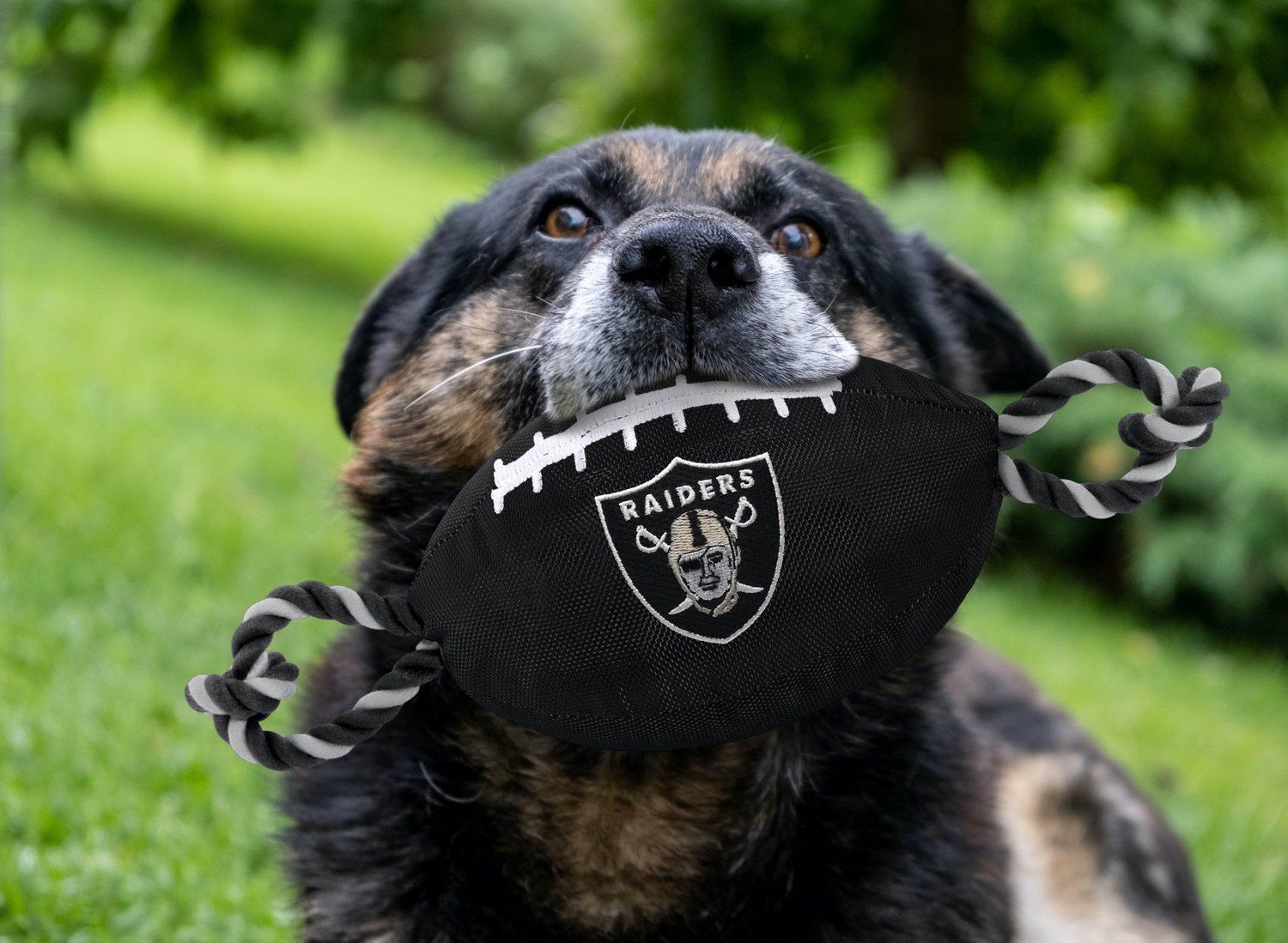 Pets First Oakland Raiders Nylon Football Rope Dog Toy - view number 2