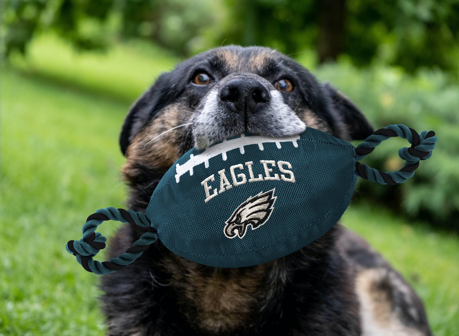 Pets First Philadelphia Eagles Nylon Football Rope Dog Toy                                                                       - view number 2