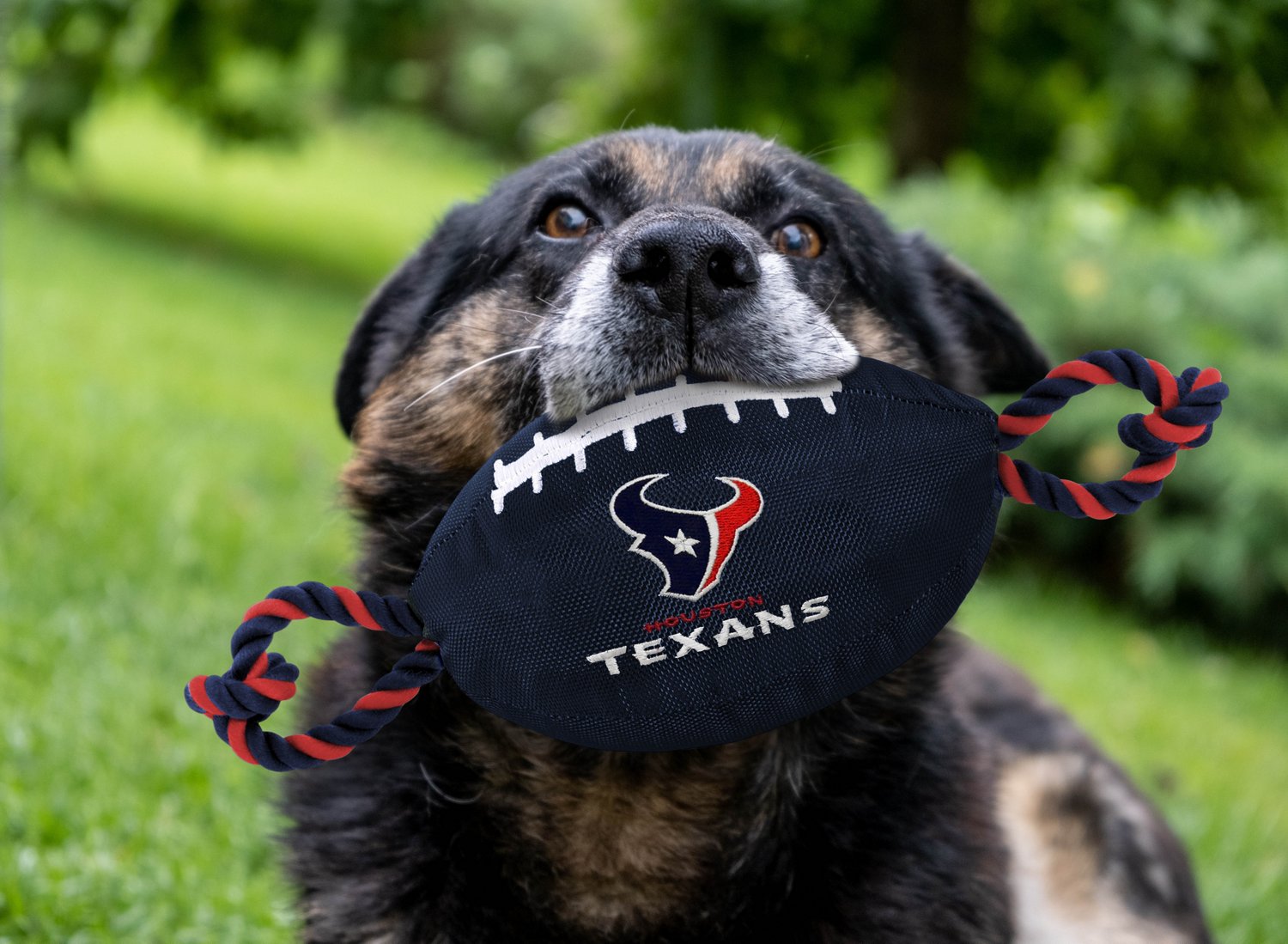 Pets First Houston Texans Nylon Football Rope Dog Toy - view number 2