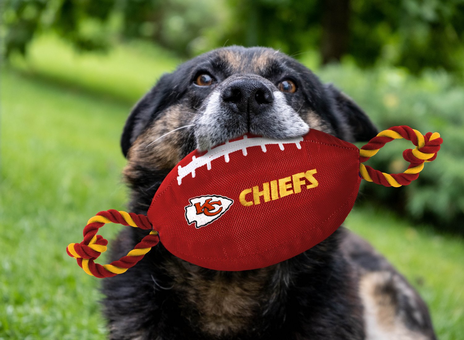 Pets First Kansas City Chiefs Nylon Football Rope Dog Toy                                                                        - view number 2