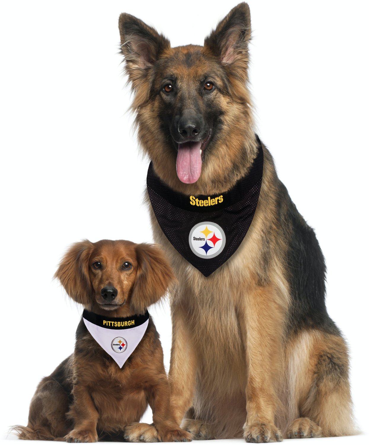 Steeler Dog Scarf