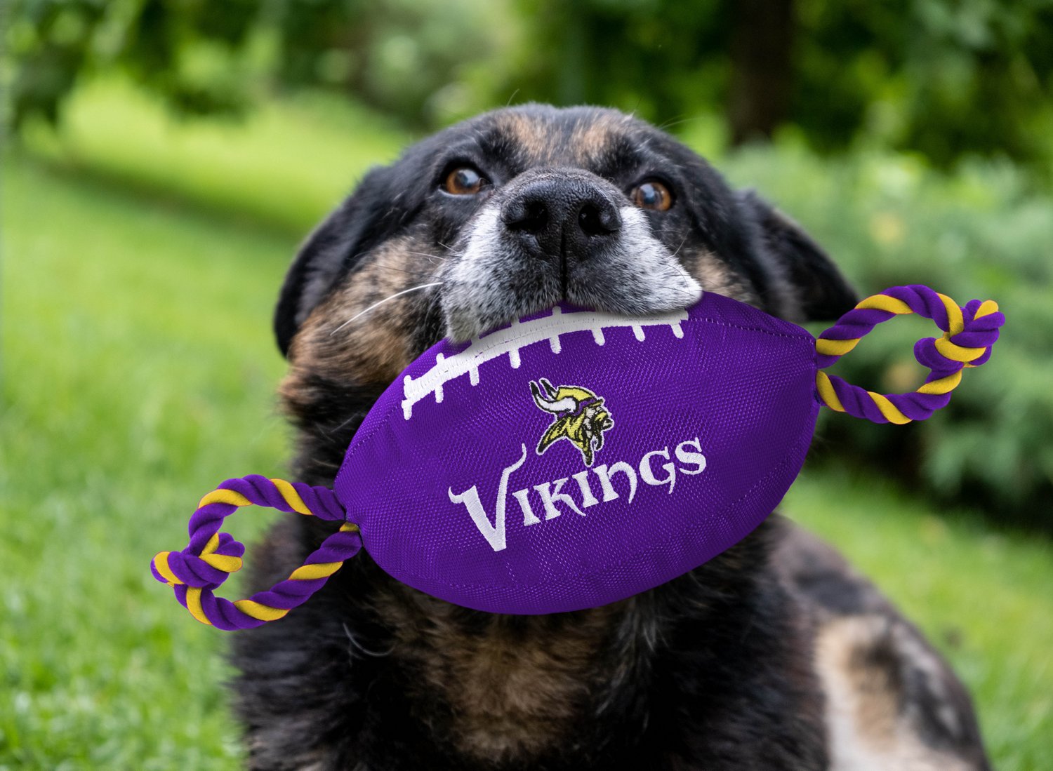 Pets First Minnesota Vikings Nylon Football Rope Dog Toy                                                                         - view number 2