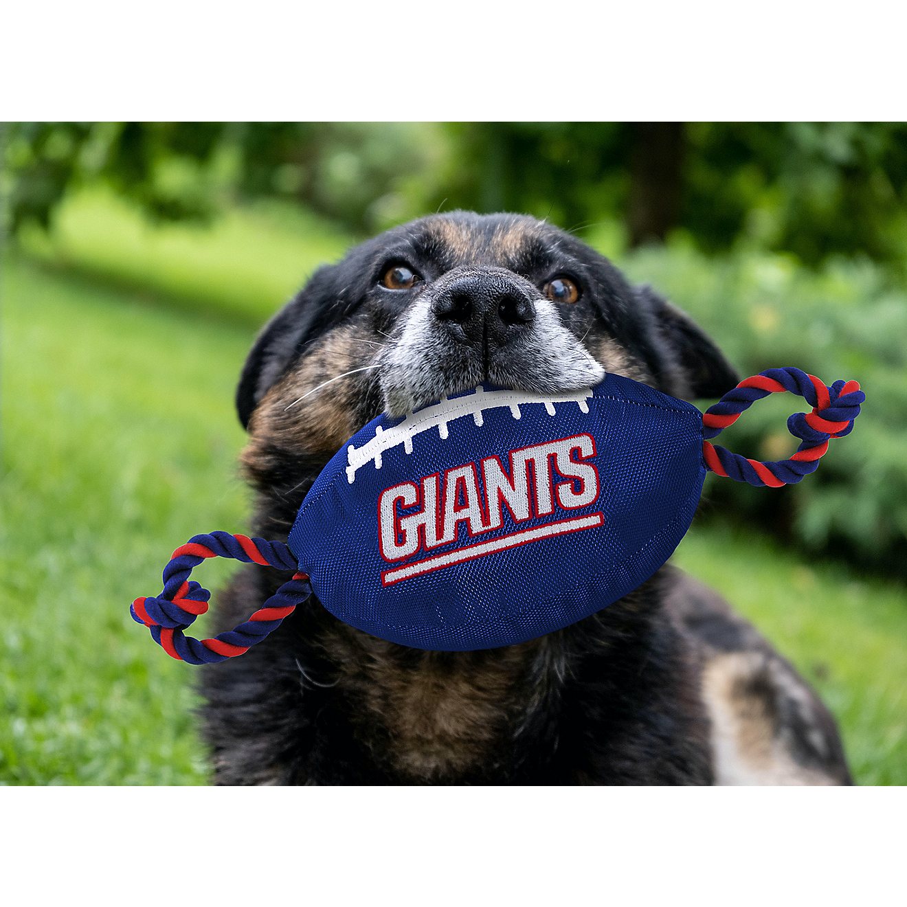 Pets First New York Giants Nylon Football Rope Dog Toy                                                                           - view number 2