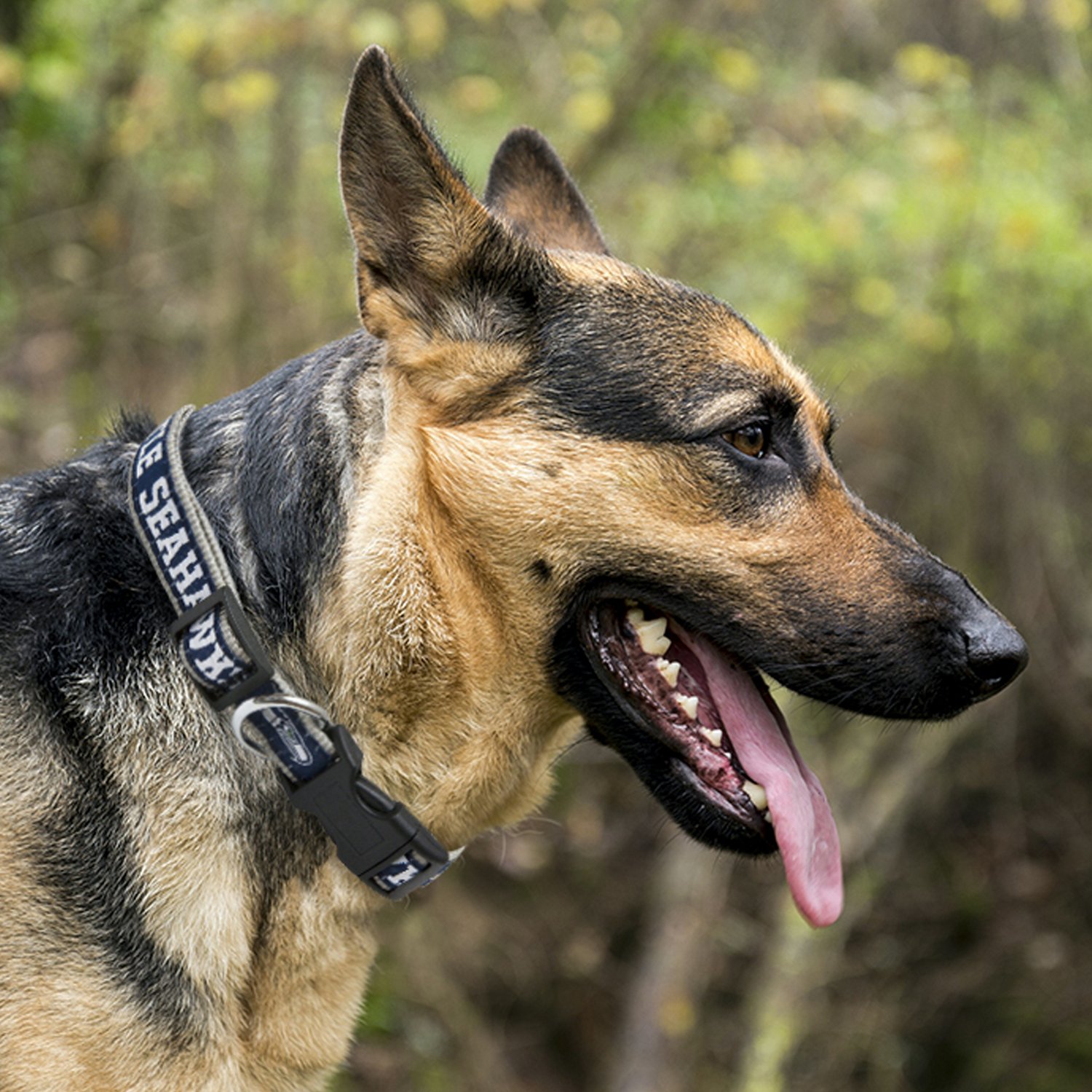 Pets First Seattle Seahawks Dog Collar - view number 2