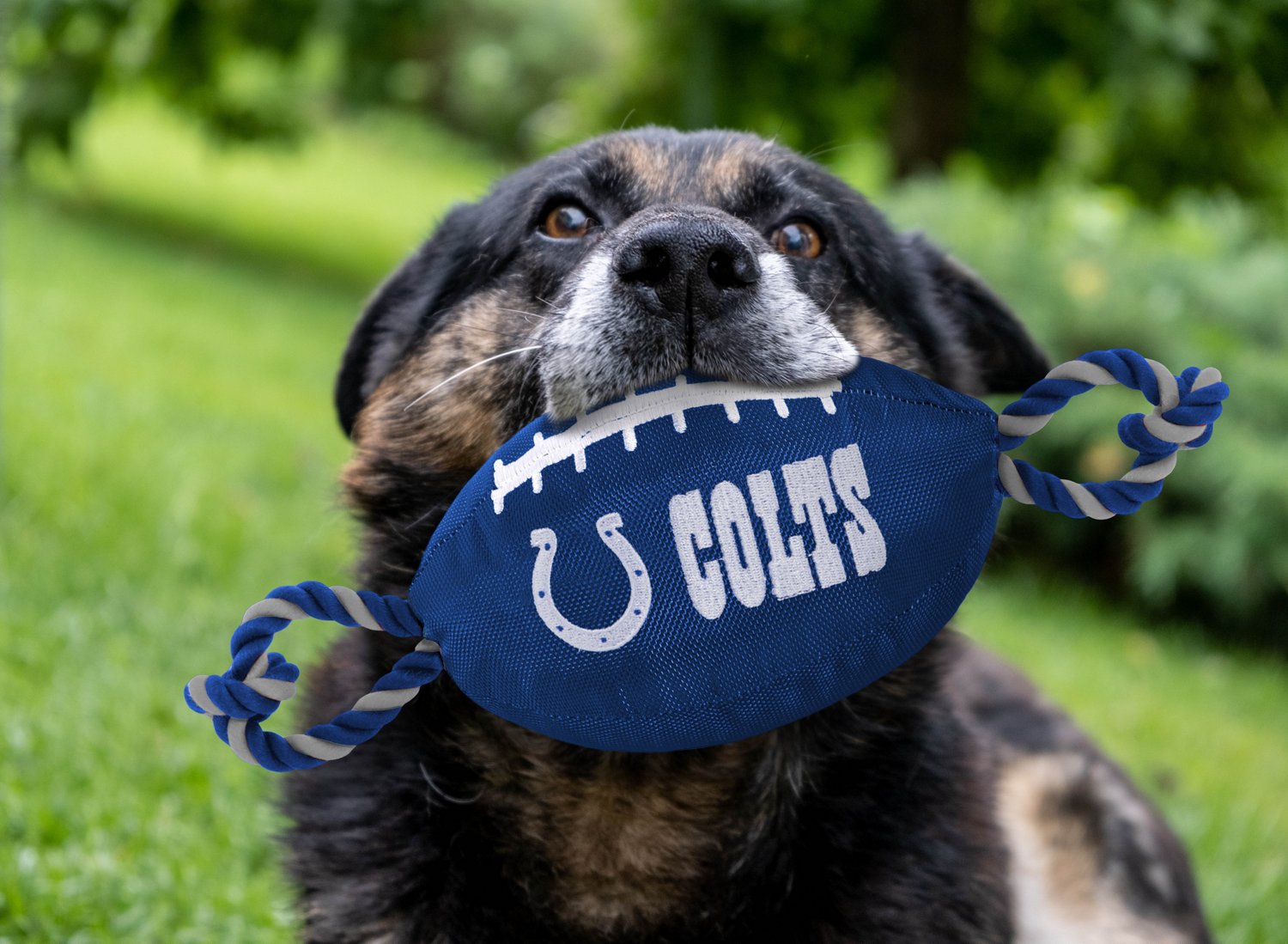 Pets First Indianapolis Colts Nylon Football Rope Dog Toy                                                                        - view number 2