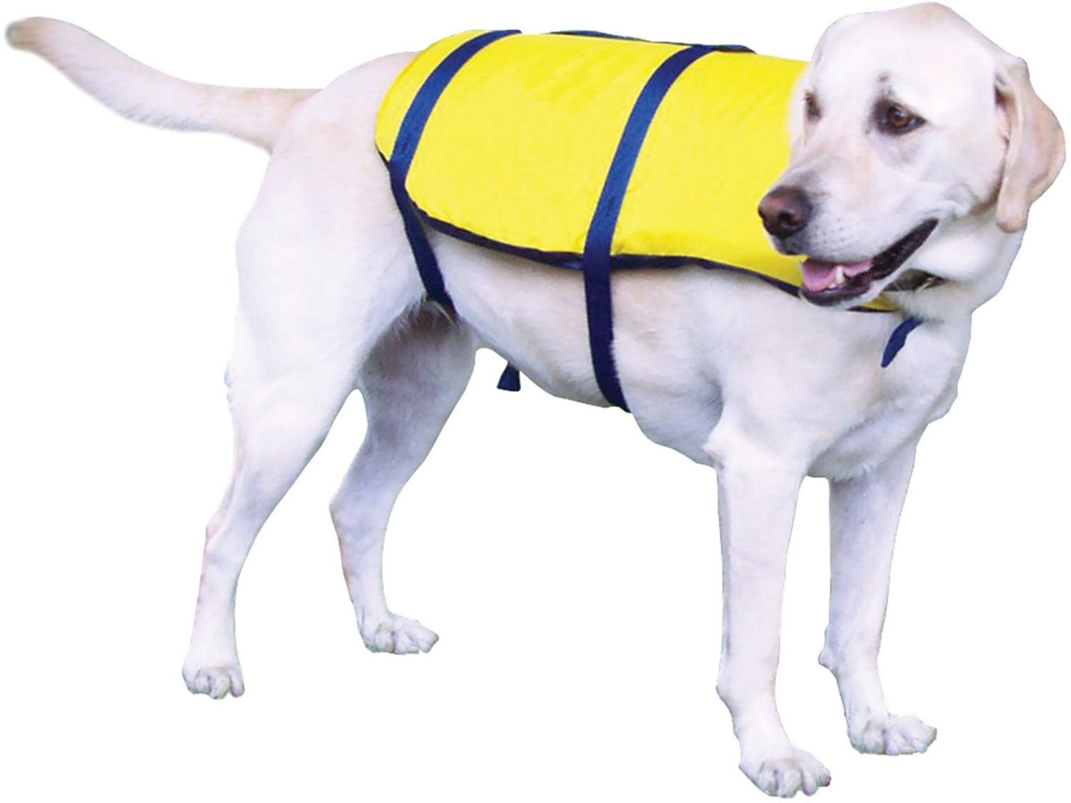 Academy dog cheap life jacket