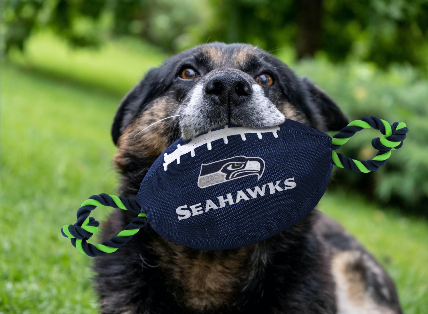 Pets First Seattle Seahawks Nylon Football Rope Dog Toy - view number 2