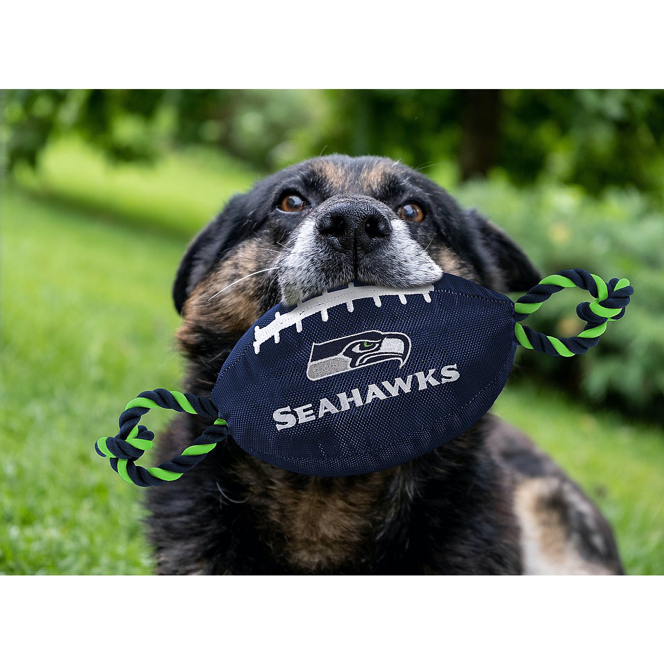 Pets First Seattle Seahawks Nylon Football Rope Dog Toy                                                                          - view number 2