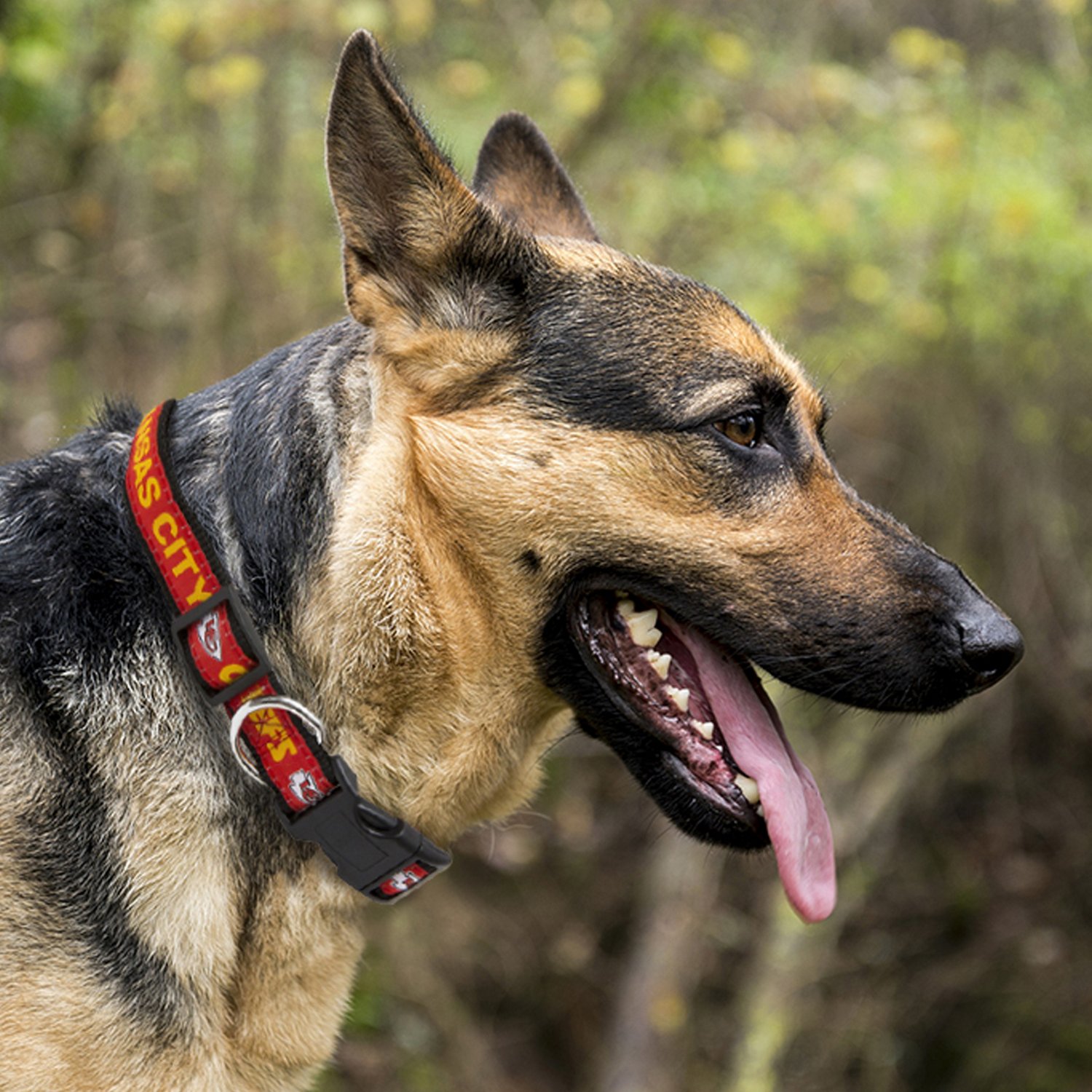 Pink chiefs best sale dog collar