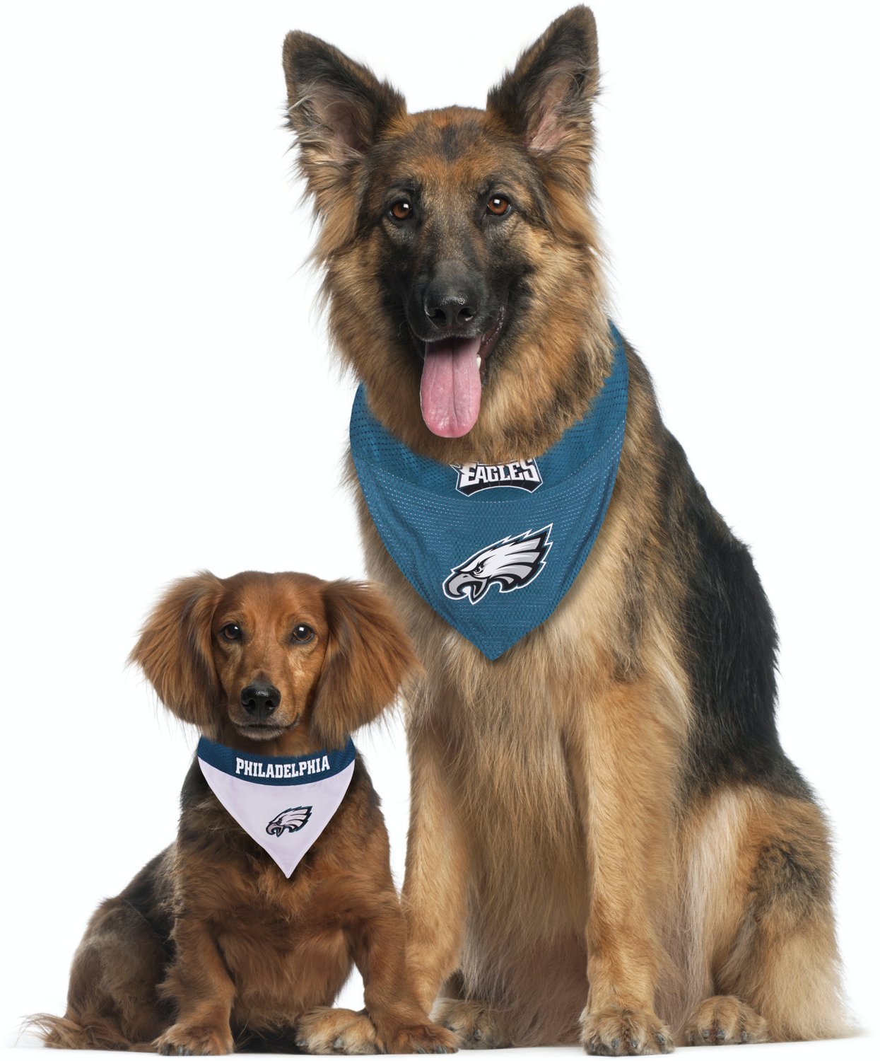Pets First Philadelphia Eagles Reversible Dog Bandana                                                                            - view number 4