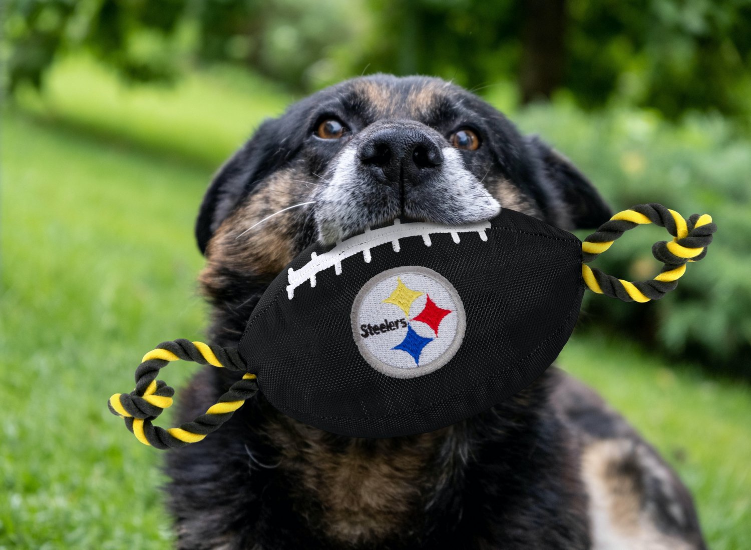 Pets First Pittsburgh Steelers Nylon Football Rope Dog Toy                                                                       - view number 2