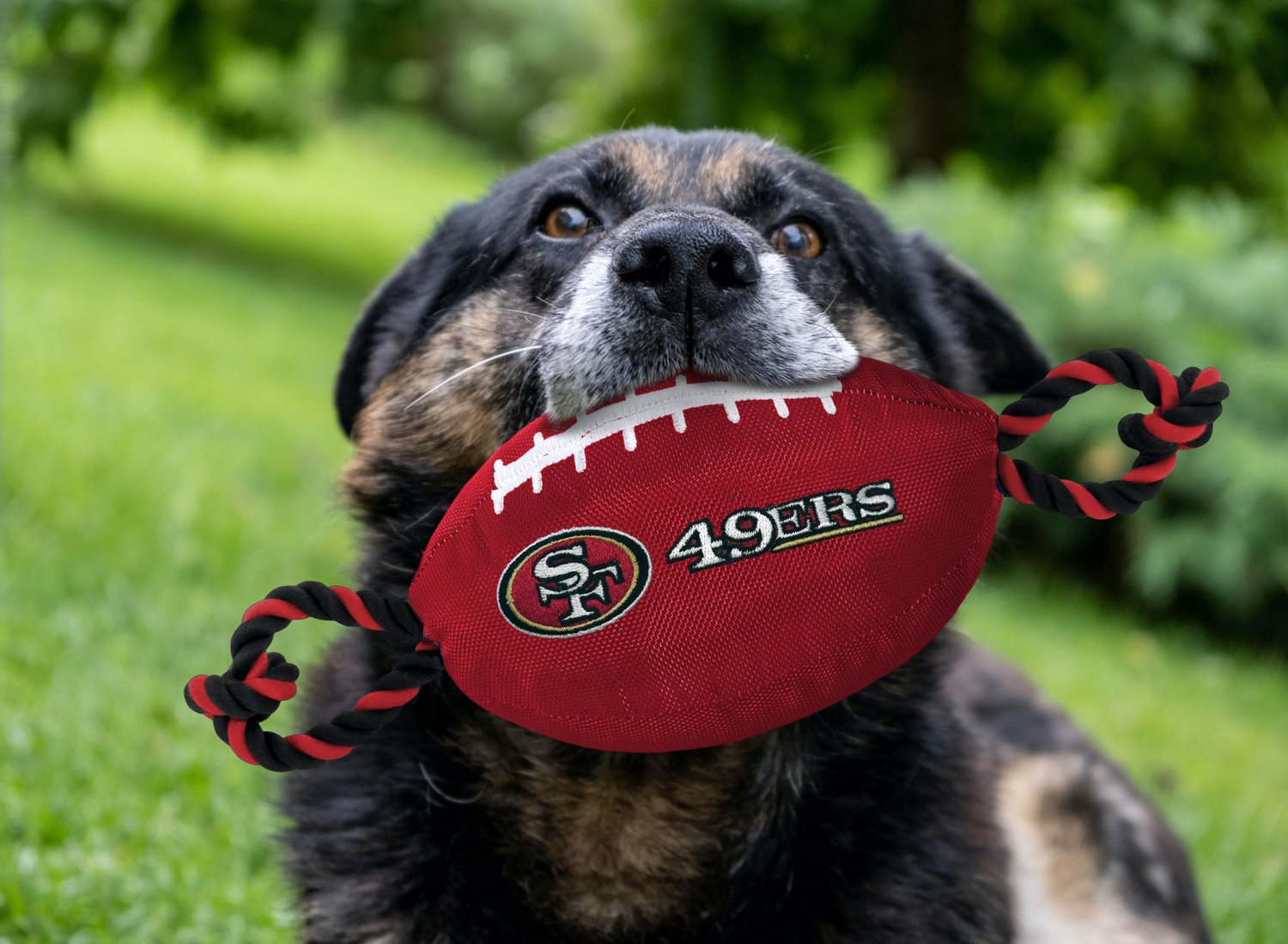 Pets First San Francisco 49ers Nylon Football Rope Dog Toy                                                                       - view number 2