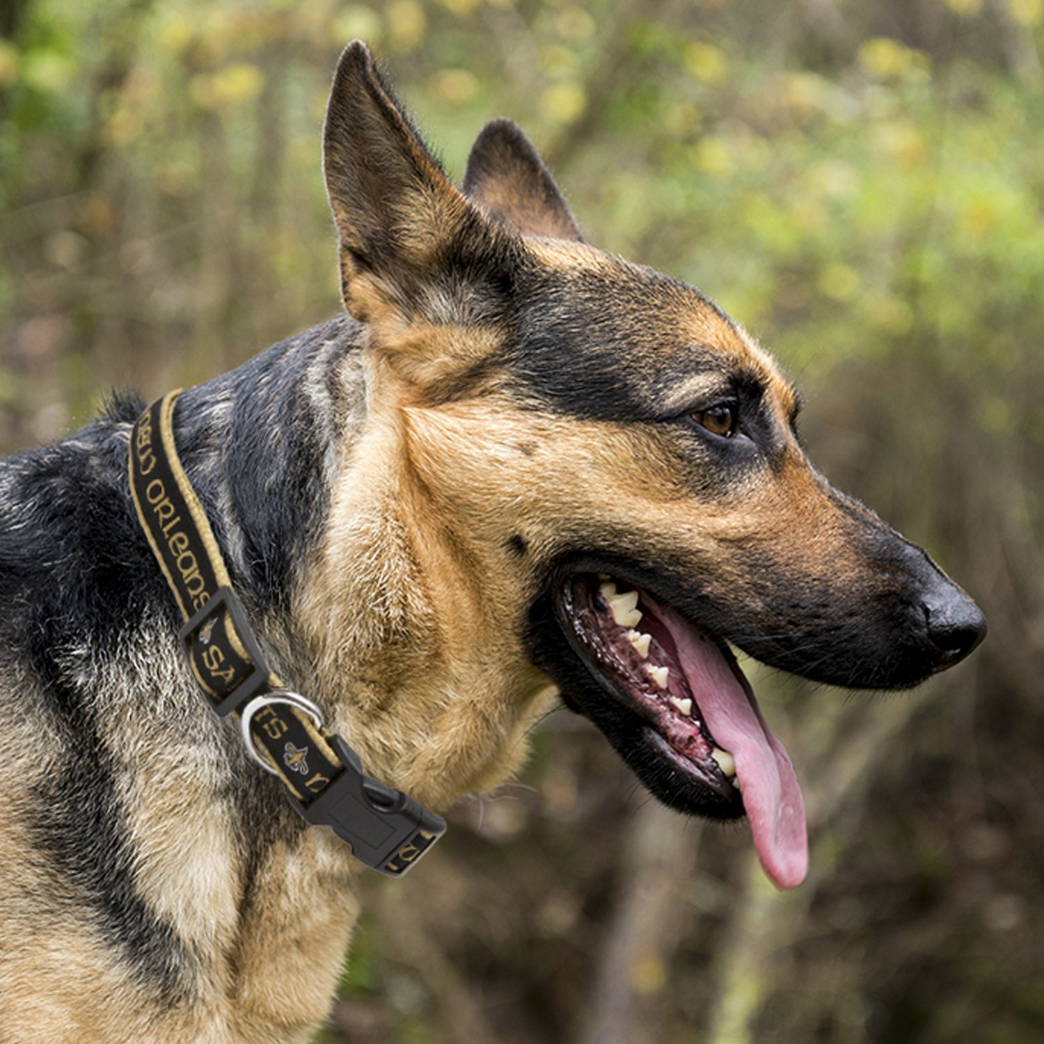 Pets First New Orleans Saints Dog Collar Academy