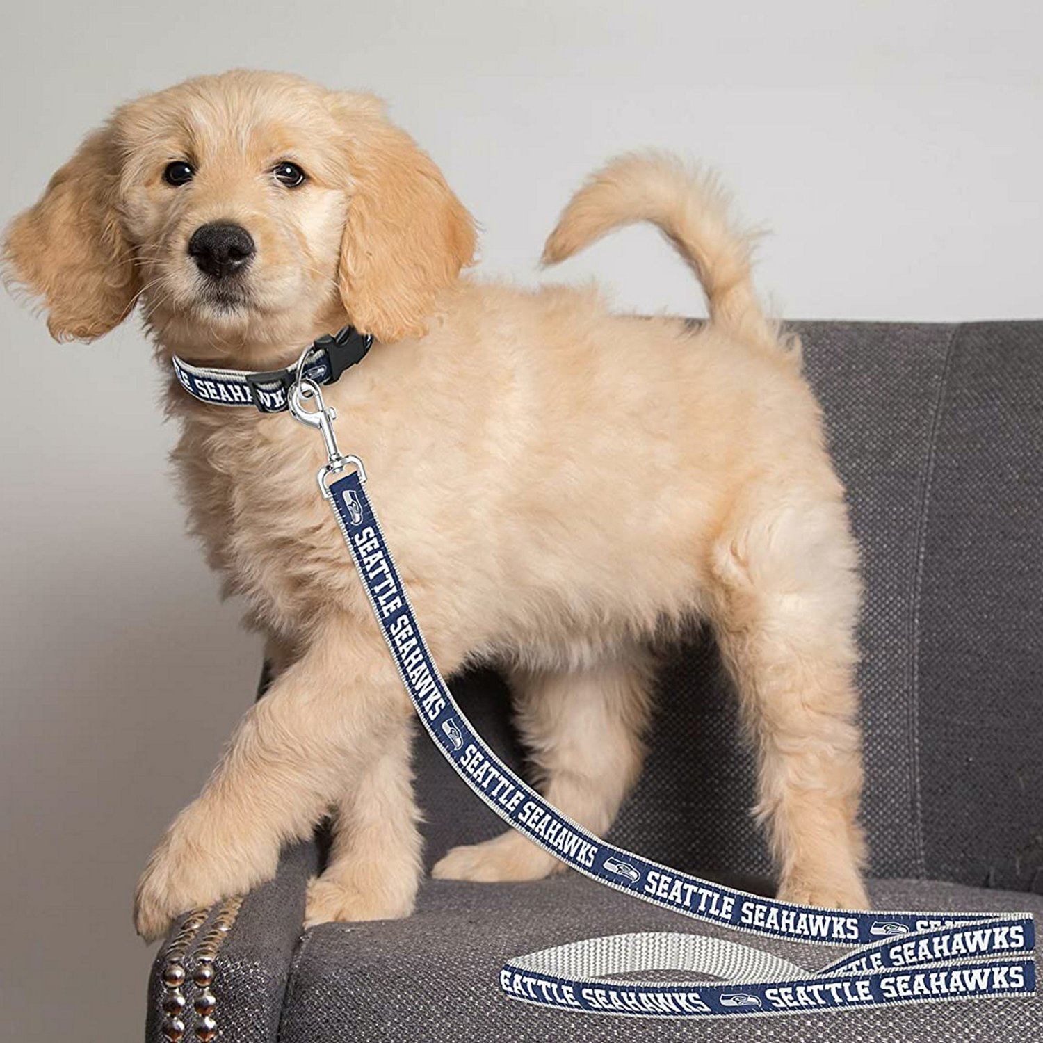 Pets First Seattle Seahawks Dog Leash                                                                                            - view number 2