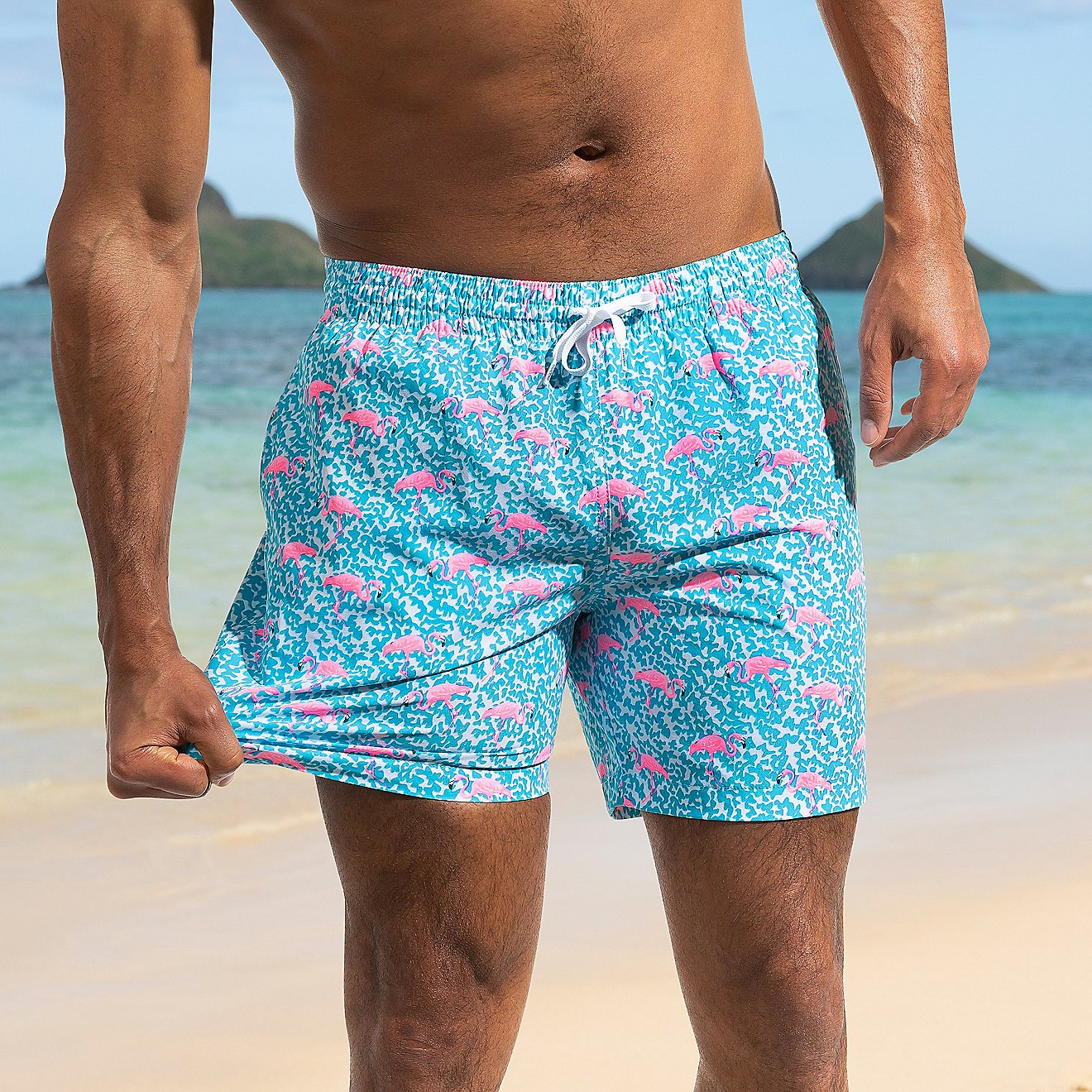 Chubbies Men's Domingos are Flamingos Stretch Swim Trunks 5.5 in                                                                 - view number 1