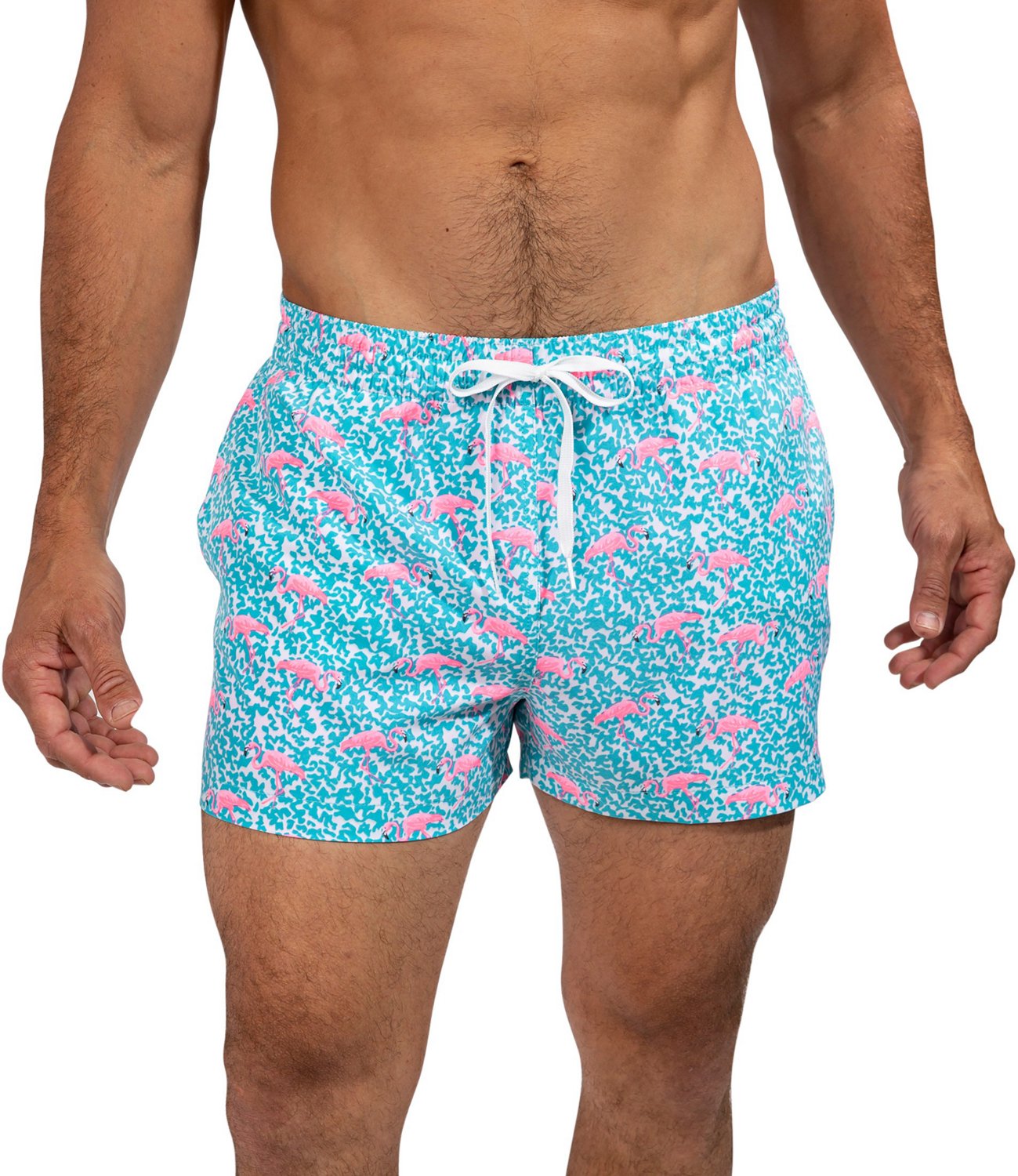 Chubbies Men's Domingo Are Flamingos Stretch Swim Trunks 4 in Academy