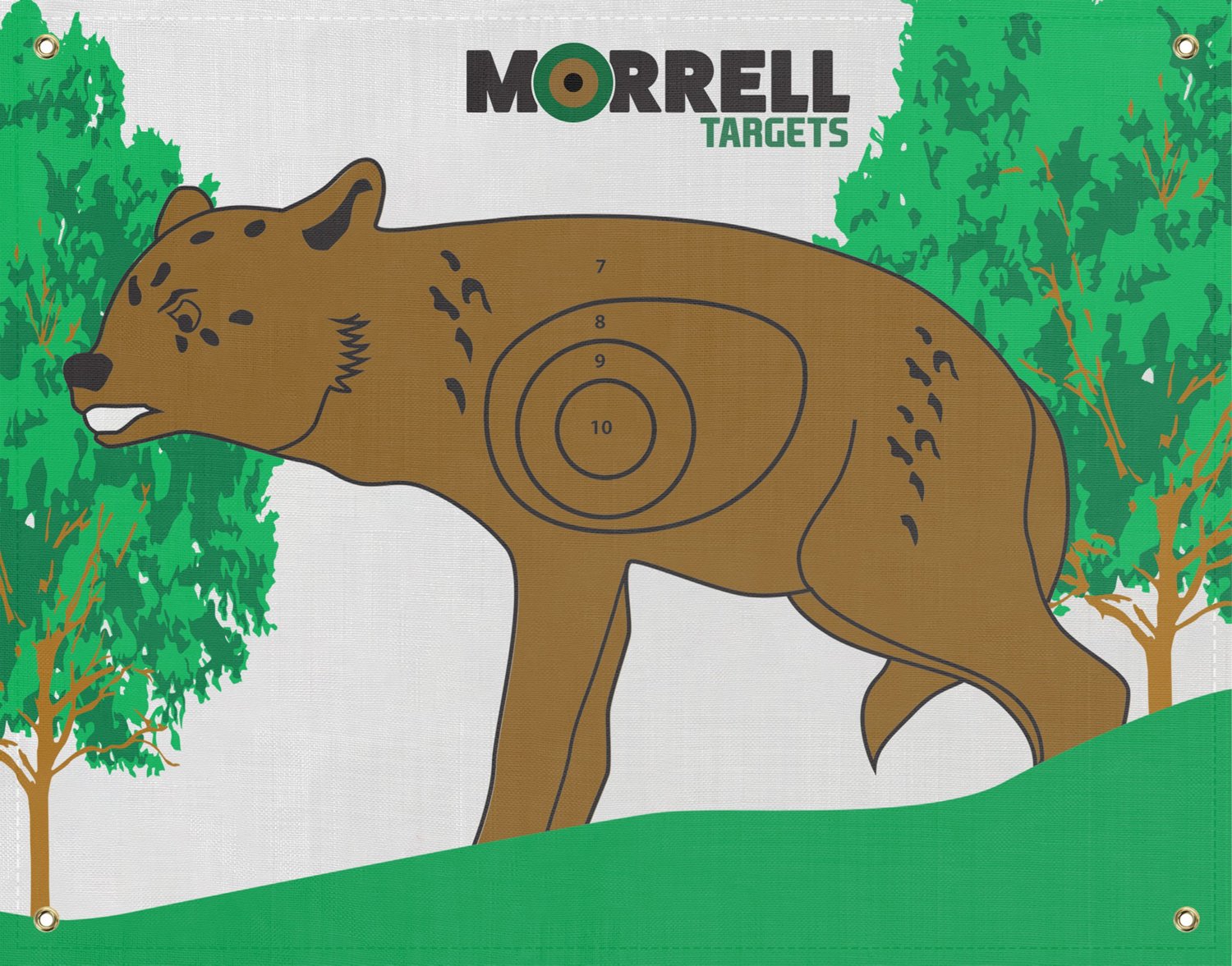 Morrell IBO/NASP Coyote 42 x 28 in Archery Target | Academy