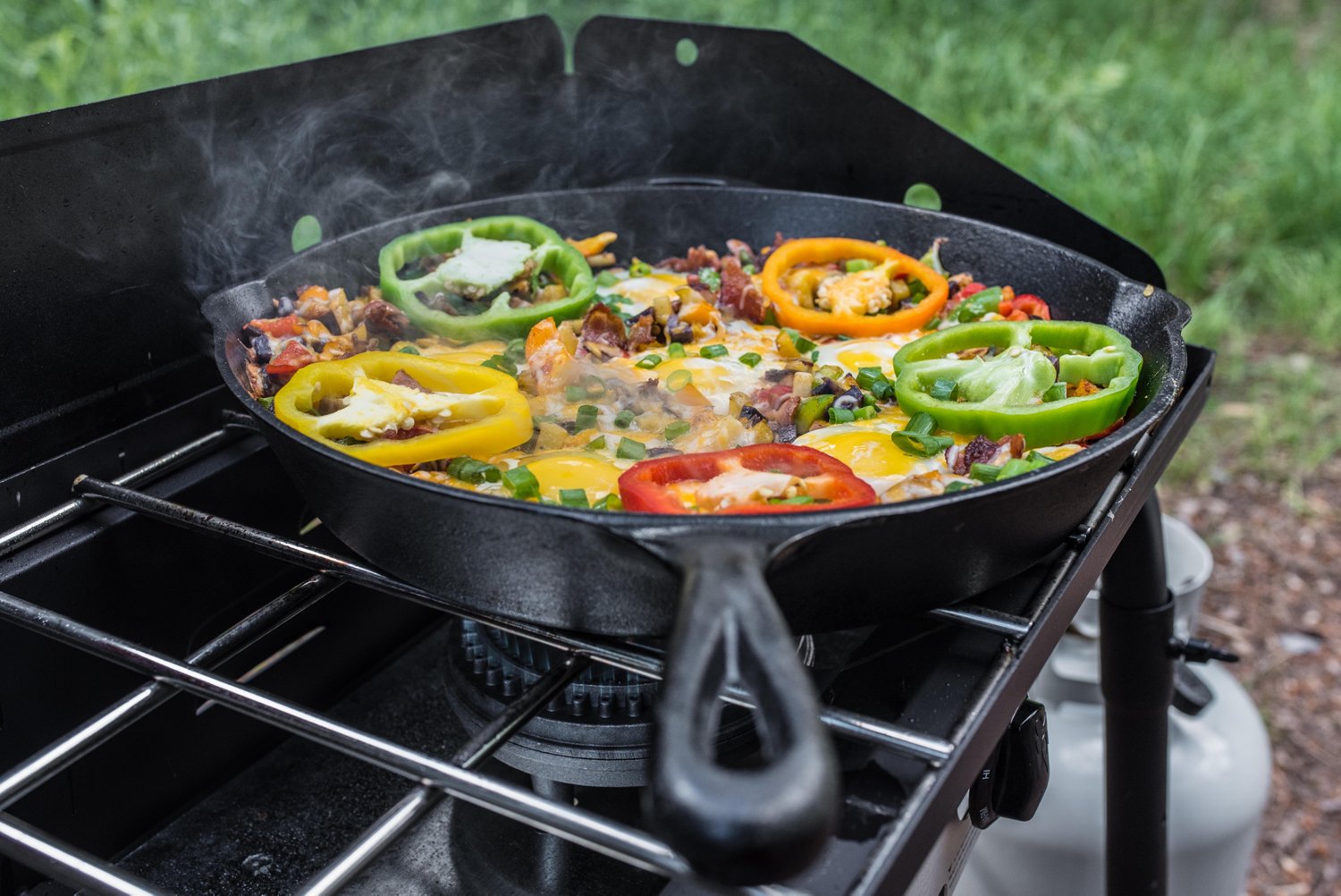 Camp Chef 14 in Seasoned Cast Iron Skillet                                                                                       - view number 4