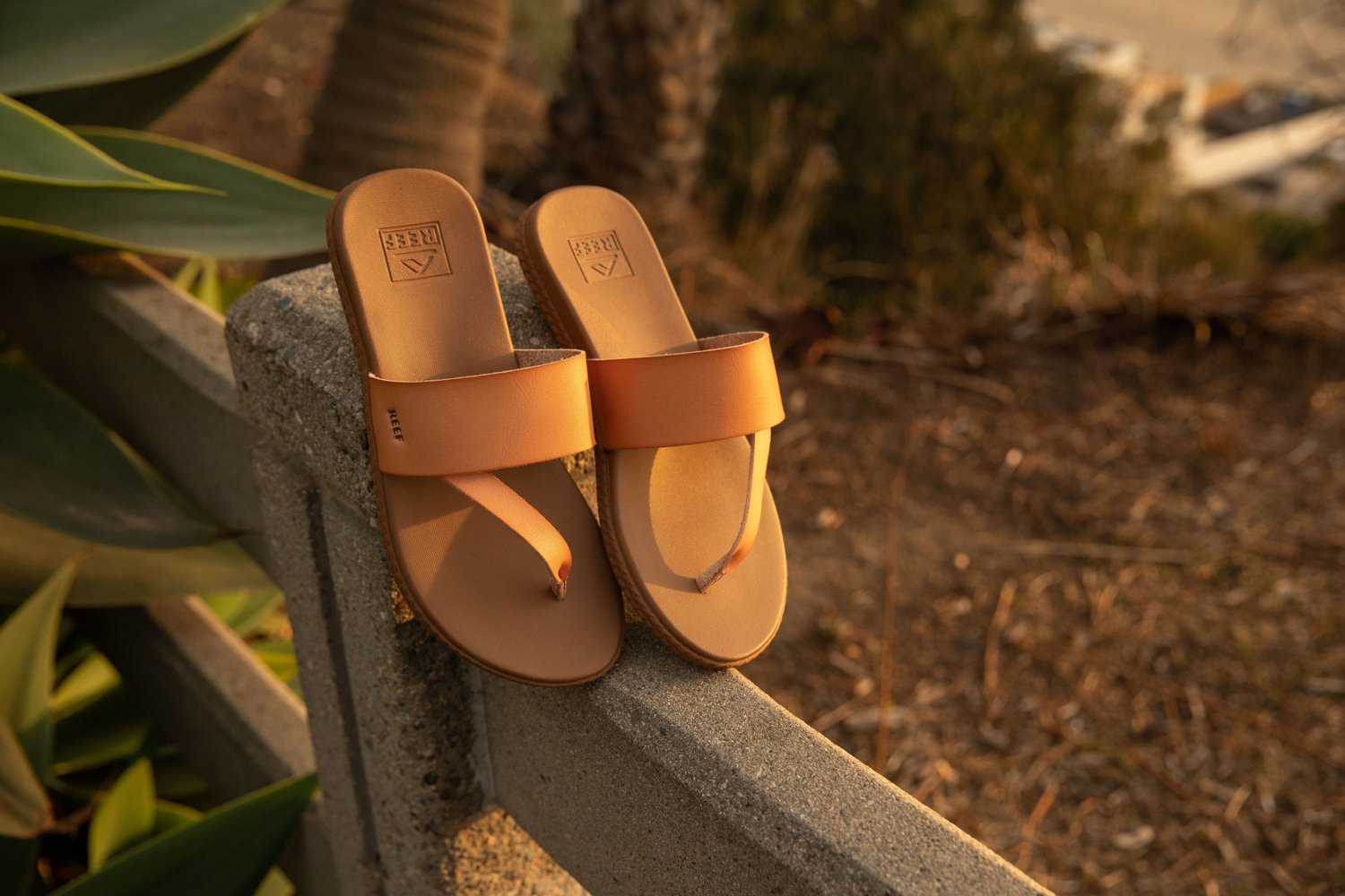 Academy hot sale reef sandals