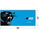 YouTheFan Carolina Panthers Logo Series Desk Pad                                                                                 - view number 1 selected