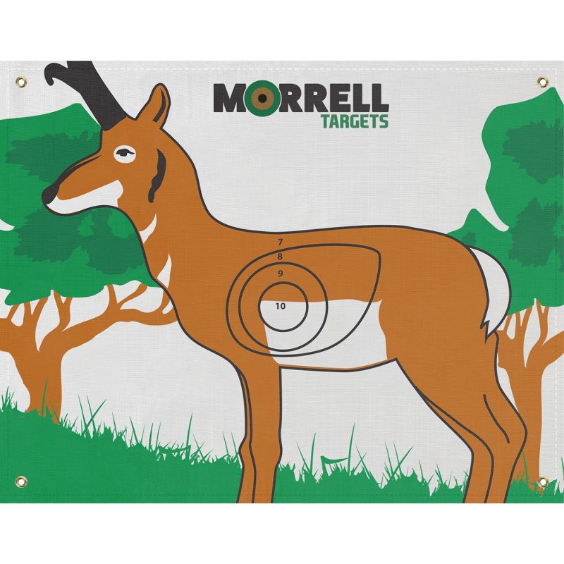 Morrell IBO/NASP Antelope 42 x 28 in Archery Target - Targets at Academy Sports