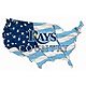 Fan Creations Tampa Bay Rays USA Shape Cutout Wall Decor                                                                         - view number 1 selected