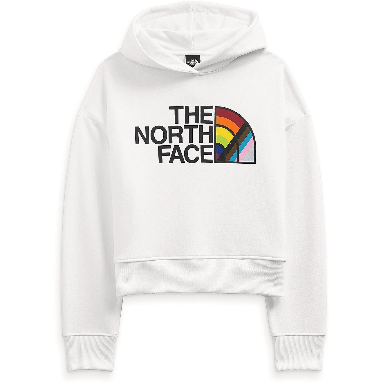 The North Face Men's Pride Pullover Hoodie                                                                                       - view number 3