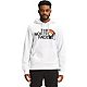 The North Face Men's Pride Pullover Hoodie                                                                                       - view number 1 image