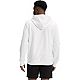 The North Face Men's Pride Pullover Hoodie                                                                                       - view number 2 image