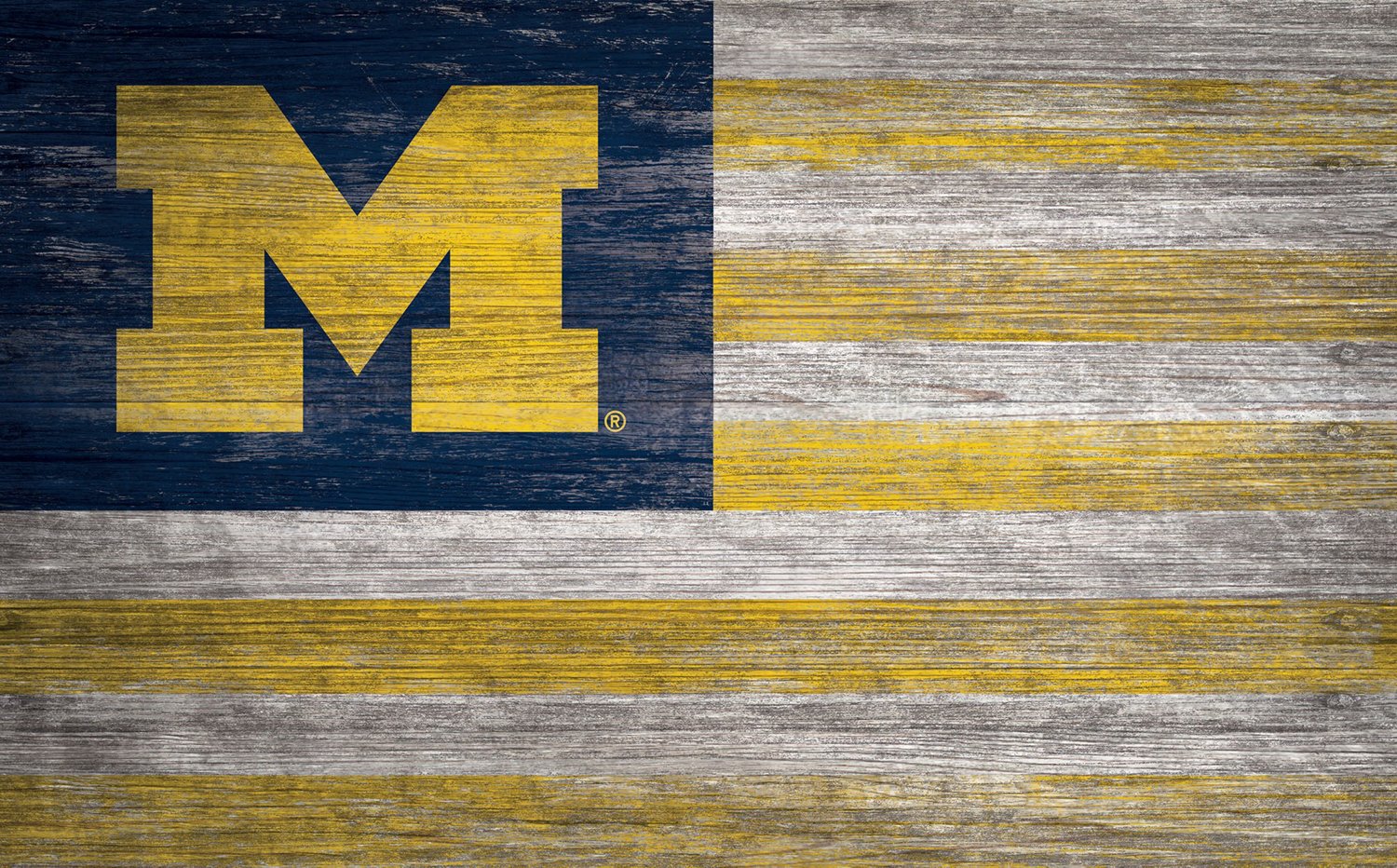 Fan Creations University of Michigan Distressed Flag 11 in x 19 in Sign ...