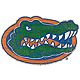 Fan Creations University of Florida Distressed Logo Cutout Sign                                                                  - view number 1 selected