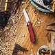 Case Cutlery 64664 Kinzua Folding Pocket Knife                                                                                   - view number 8