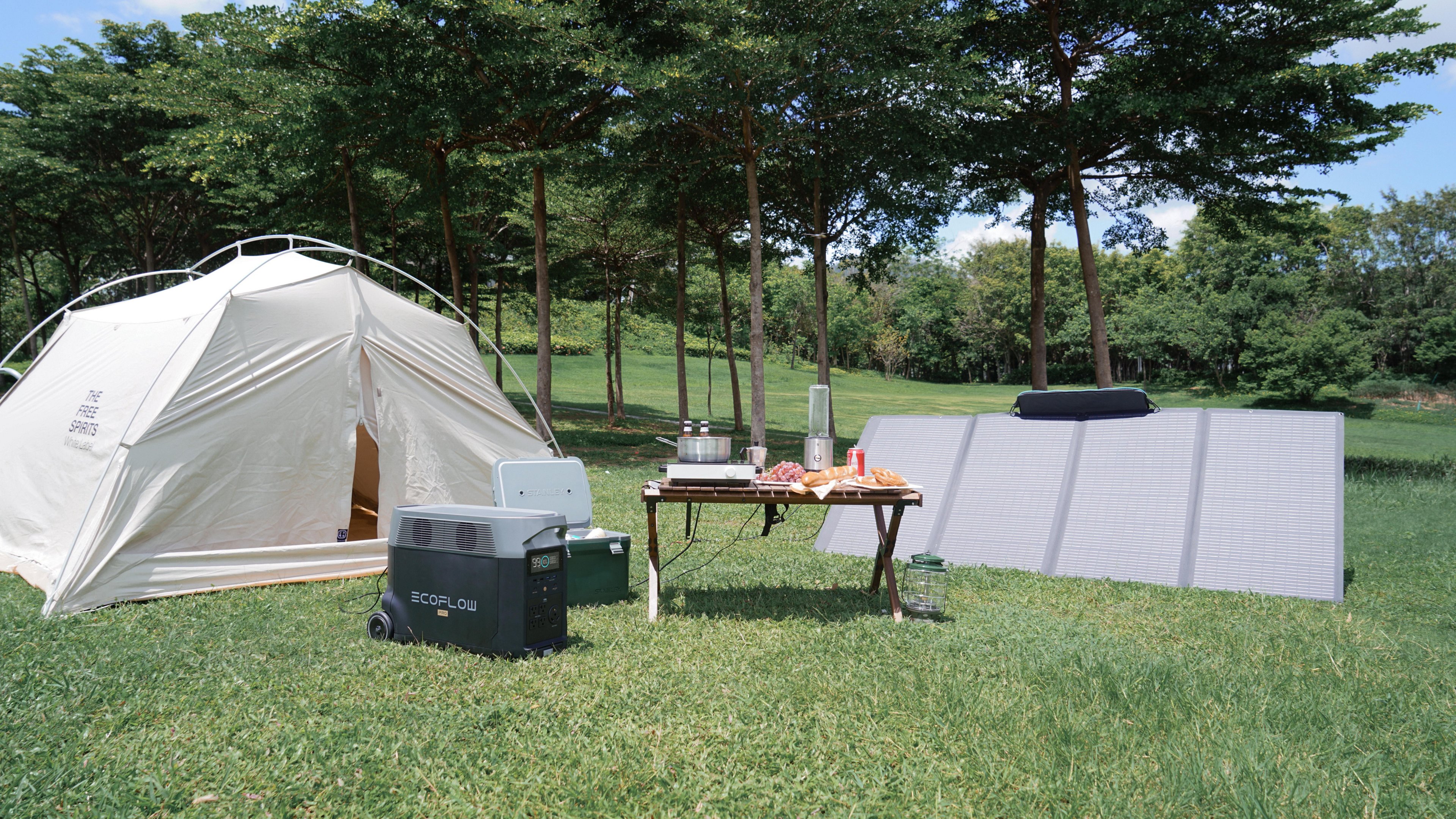 EcoFlow DELTA Pro 3600W Portable Power Station